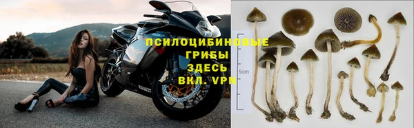 амф Белоозёрский