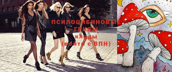 индика Белокуриха