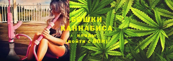индика Белокуриха