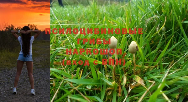 ПСИЛОЦИБИНОВЫЕ ГРИБЫ Балабаново