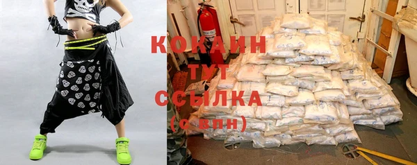 индика Белокуриха