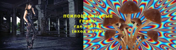 дмт Баксан